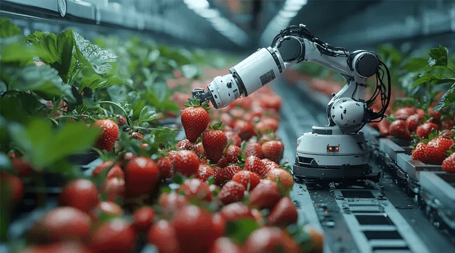 AI-driven automation for agriculture