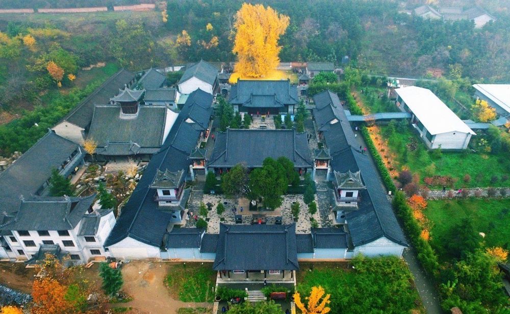 Picture of a 1400 year old Ginkgo tree In the Gu Guanyin Buddhist Temple - China 🇨🇳 