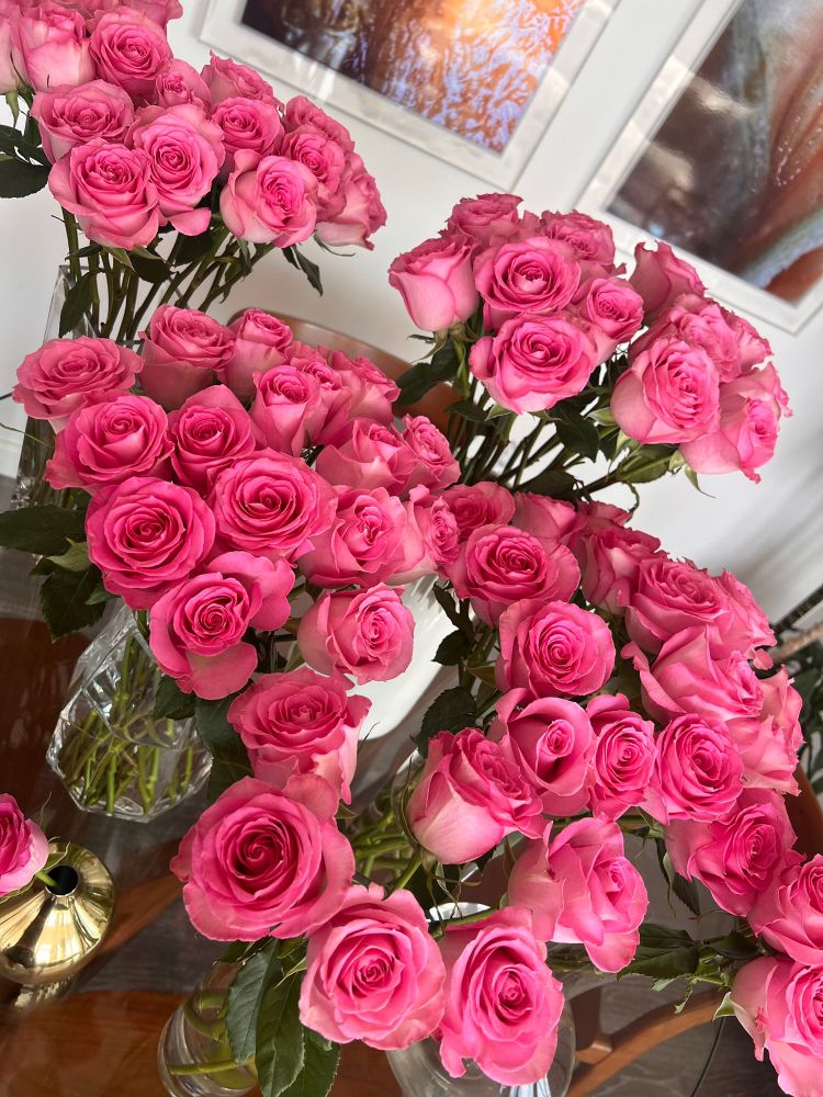 Picture of pink colored roses, named “Sweet unique roses “🌷