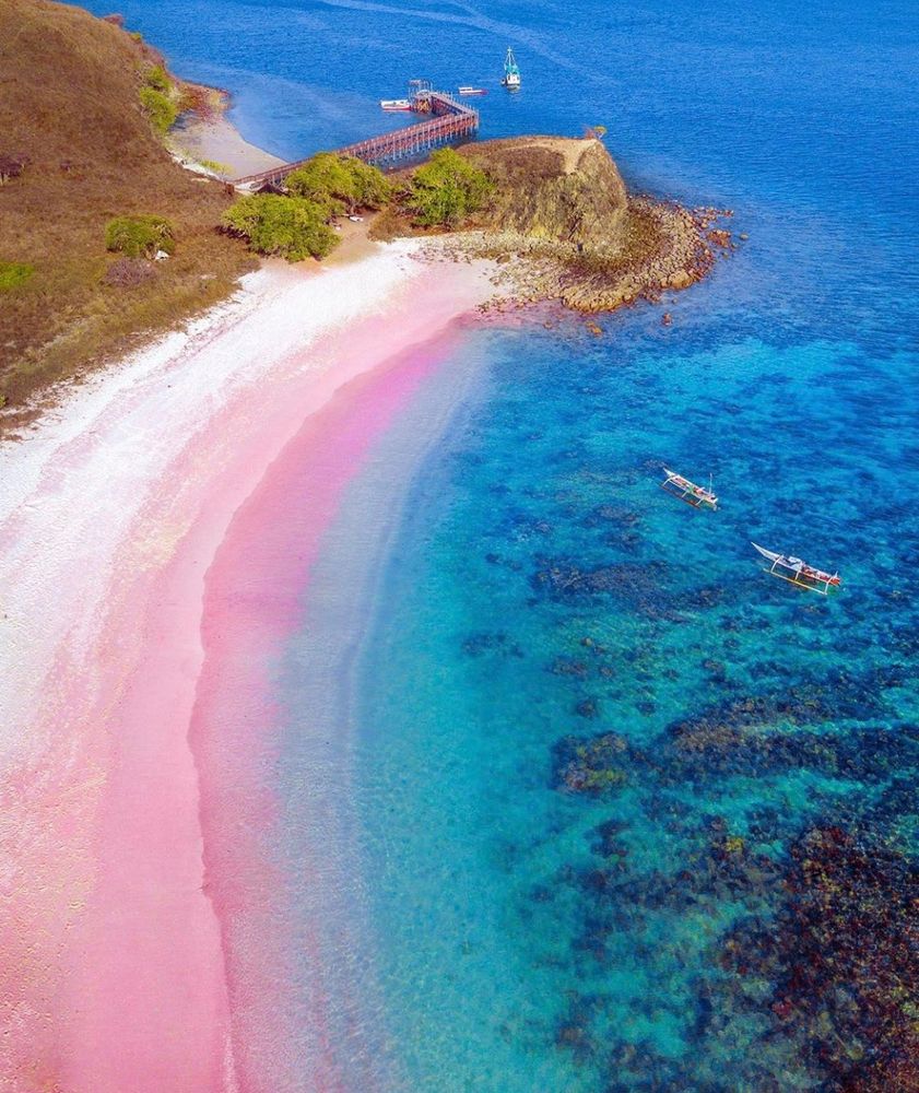 Pink Beach, Komobo Island, Indonesia 🇮🇩