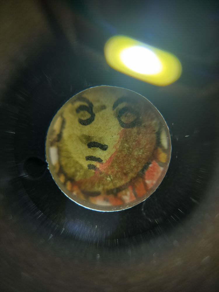 Photo made by a microscope camera, it's a close-up of a little face in a root in LJS 419, a 15th century Italian herbal. The little face looks very grumpy.