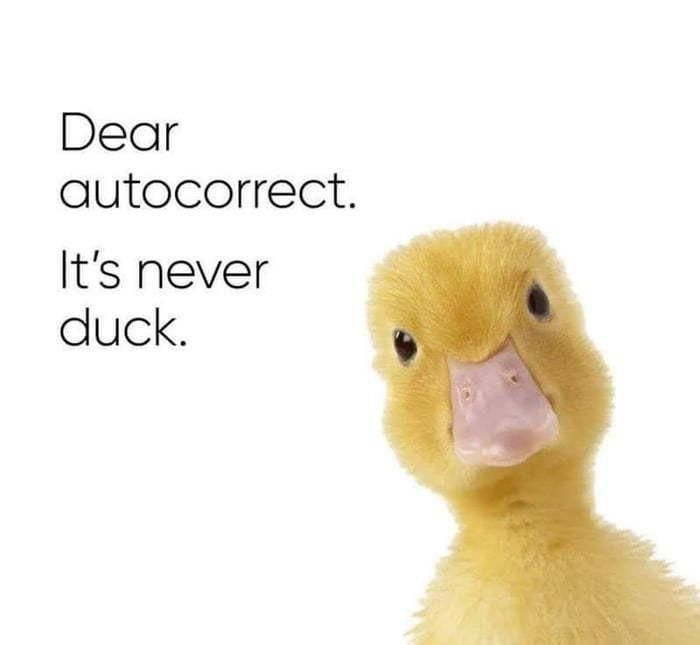 Comment image