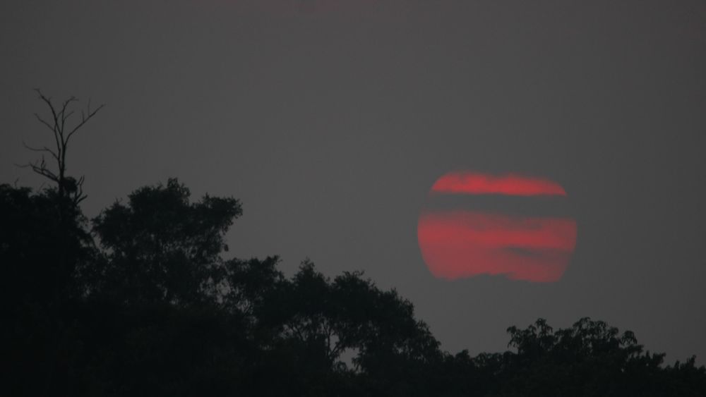 Sunset photo of a red sun setting over a treeline in a grey sky with grey clouds forming stripes across the sun.