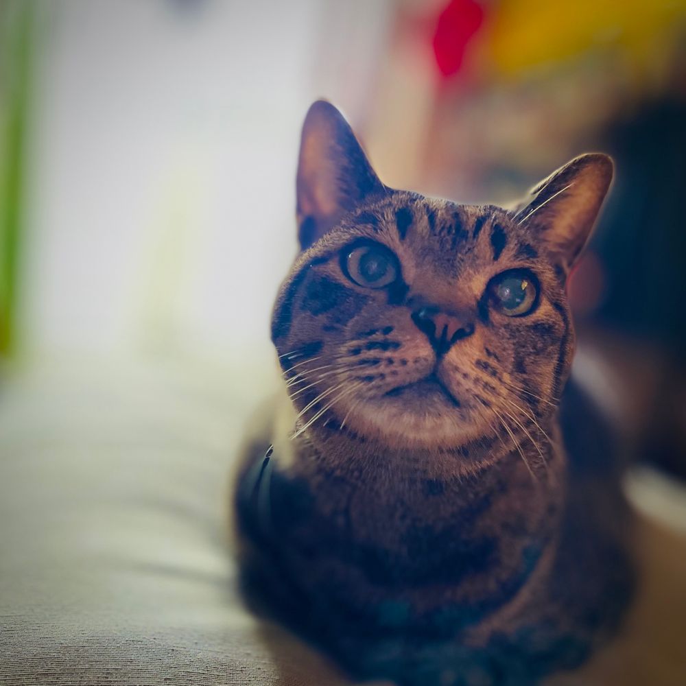 良い子で留守番できました