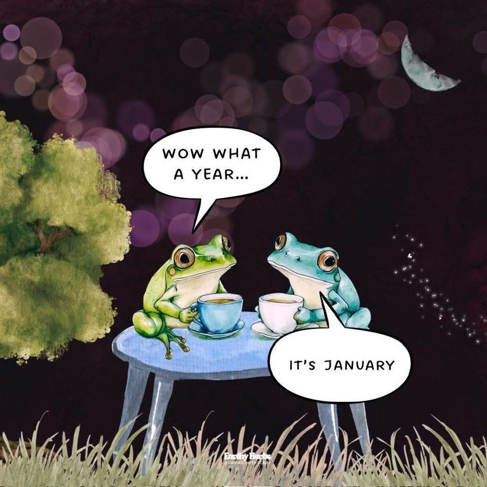 Drawing: two frogs sitting on a table outside at night, drinking tea. One frog says, "Wow, what a year..." Second frog: "It's January."
