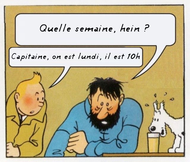 Le même du Capitaine Haddock accoudé à une table, l'air épuisé, les yeux dans le vide, à sa gauche Milou renifle un verre qui visiblement sent fort l'alcool, à sa droite Tintin se penche vers lui :
Haddock : Quelle semaine, hein ?
Tintin : Capitaine, on est lundi, il est 10h