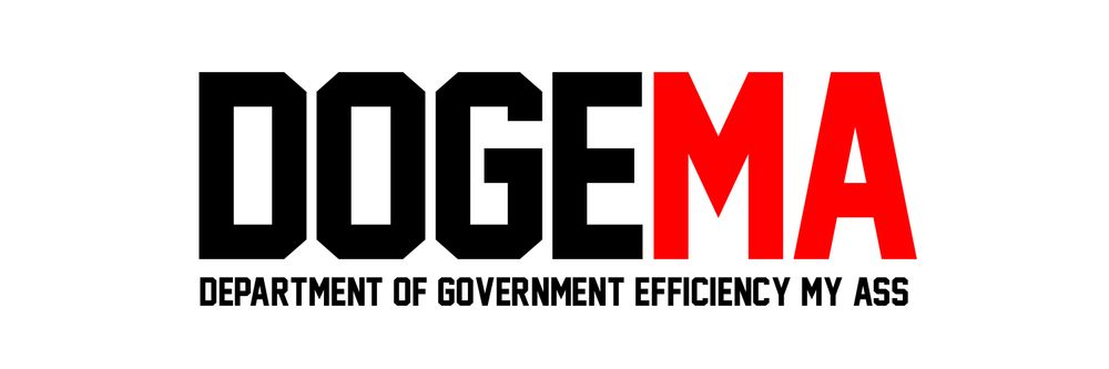 DOGE. Department of Government Efficiency My Ass
