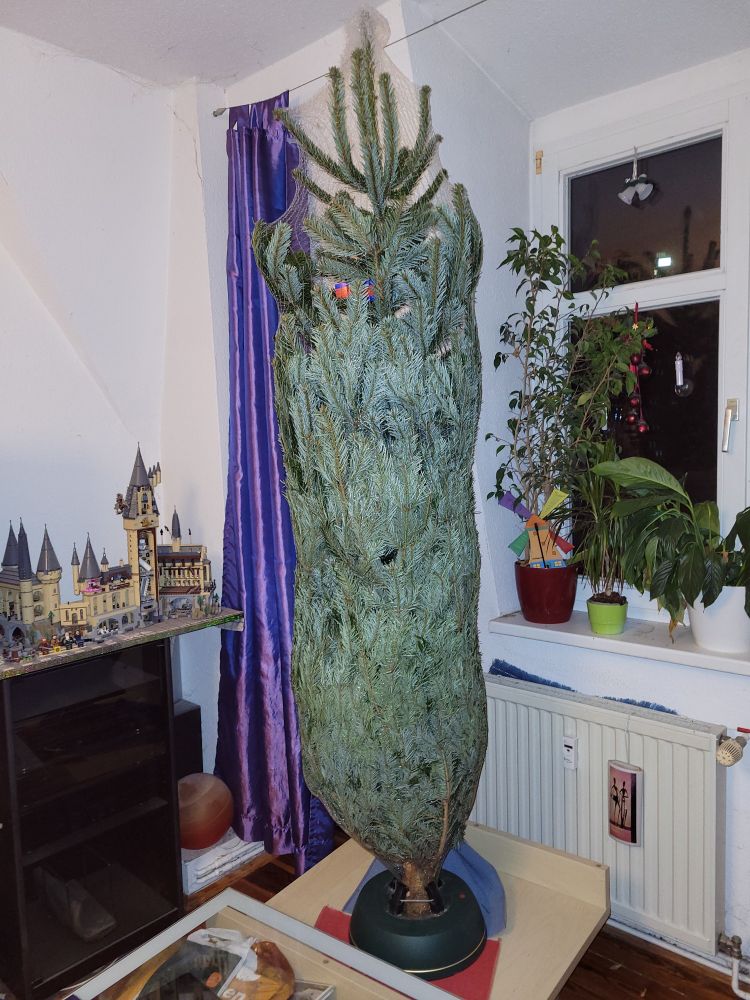 Ein Weihnachtsbaum im Ständer, noch ins Netz eingepackt. 