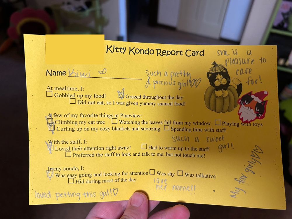 A yellow piece of paper labelled “Kitty Kondo Report Card”. It describes Kiwi’s behaviors, which include grazing on her food, climbing the cat tree, curling up and snoozing, loving the attention of staff, and is described as easy going with the staff. Various comments are written around the paper, like “Love her name!!” and “My fav girly”. 