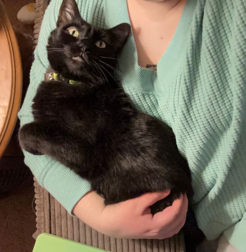 A black cat is laying in her human’s arms, paw curled, looking up beyond the camera. 