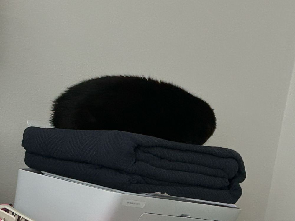 A black cat is curled into a perfect oval shape. She is facing away from the camera and looks like a fuzzy ball. She is laying on top of a navy blanket on top of a white printer. 