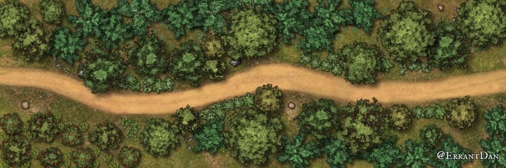A long winding road through the woods. The trees boarder the edge of the road, allowing several good places for an ambush.