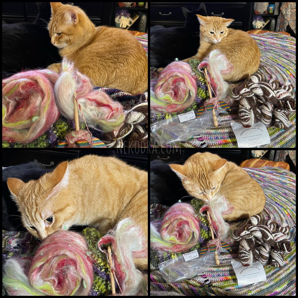 A 4 picture collage mini story. To start all 4 pictures take place in the same spot, only the cat moves. There is a rainbow Turkish spindle with partly spun fiber on it colors are red & white with a streak of green. To the left is the rest of that fiber batt in a swirl & to the right are 4 mini skeins of handspun yarn colors are white & brown with bits of gold & red. Behind the fiber are two cats- first an orange boi & slightly hidden behind him is a tuxedo cat, who looks all black from this angle.
1st panel - the orange cat Cal is leaning against tuxedo cat Howl half awake, likely woke from rustling of fiber.
2nd panel - Cal is curl up looking at the pile of fiber.
3rd panel - Cal has airplane ears & intently sniffling the swirl batt of the Ribbon Candy fiber. 
4th & final panel - Cal is now sniffing the spindle & fiber on it.