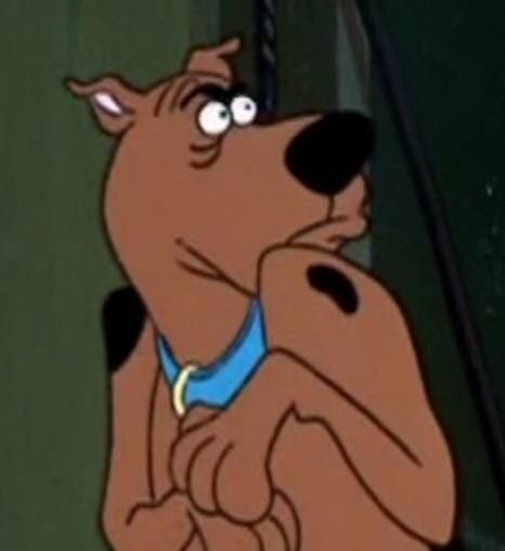 Scooby-doo in deep deep deep concern or fear