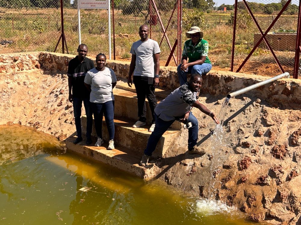 A group of five people stand and sit on the edge of a runoff water collection basin in Burkina Faso. One man kneels near a pipe, letting water flow through his hands into the basin. The basin’s stone and earth walls are visible, and the water below is greenish from natural sediment. Behind them is a fenced area with dry vegetation and clear sunlight.