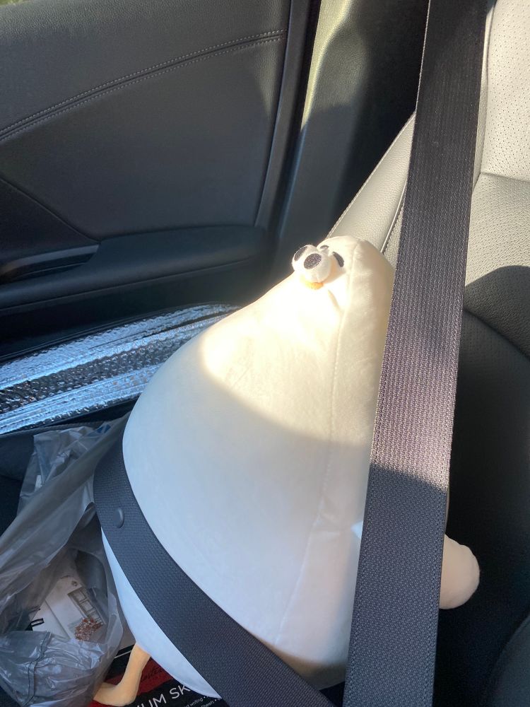 Stupid chicken plush buckled up in a car. The light shines majestically on its face