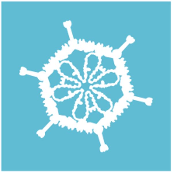 A snowflake-like picture of an adenovirus, in a box that is approximately 200 nm (a five thousanth of a millimetre) on each side.