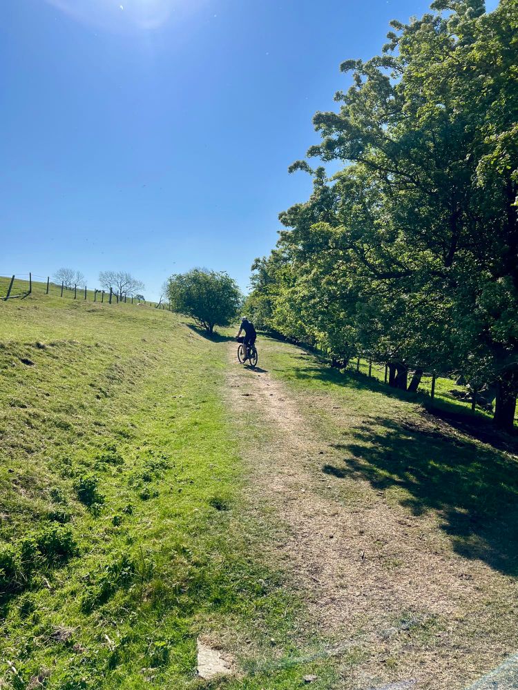 bridleway with cyclist