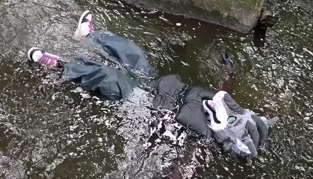 Partial fursuiter laying in a stream.