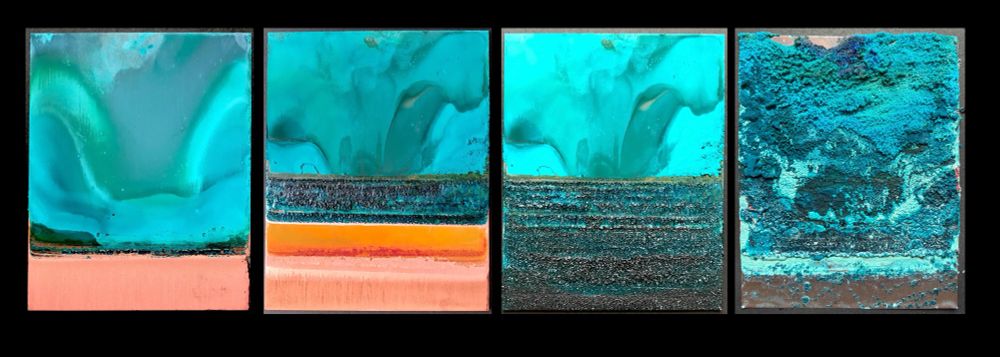 A panoramic photo, showing 4 time lapse photos taken over a three month period showing the formation of verdigris (basic copper acetate) crystals forming on a copper plate which has been partially immersed in a beaker of white vinegar. 