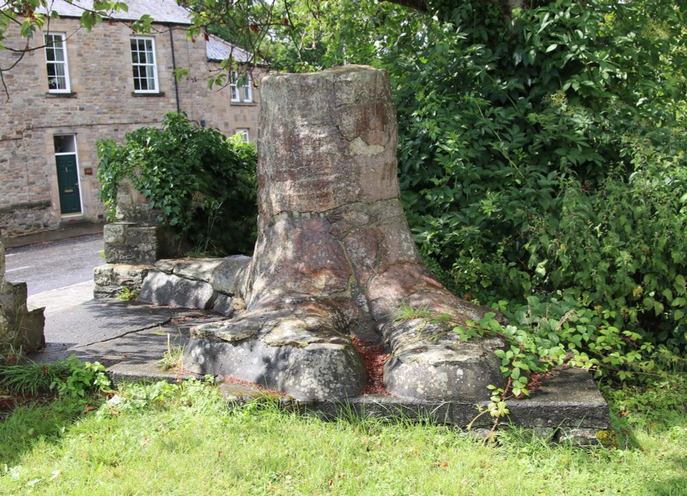 The fossil tree stump in Stanhope churchyard. 