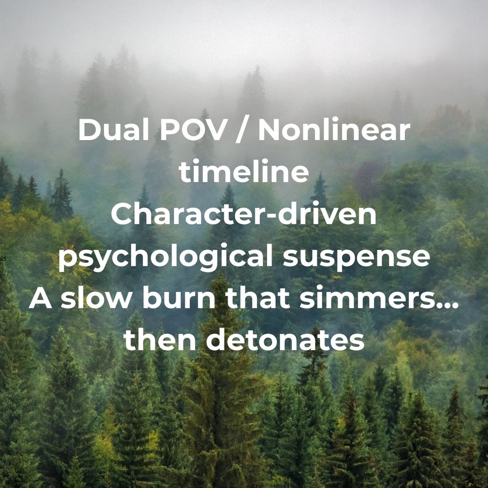 Slide 4:

Same back ground. Text that reads “Dual POV / Nonlinear
timeline
Character-driven psychological suspense
A slow burn that simmers... then detonates.