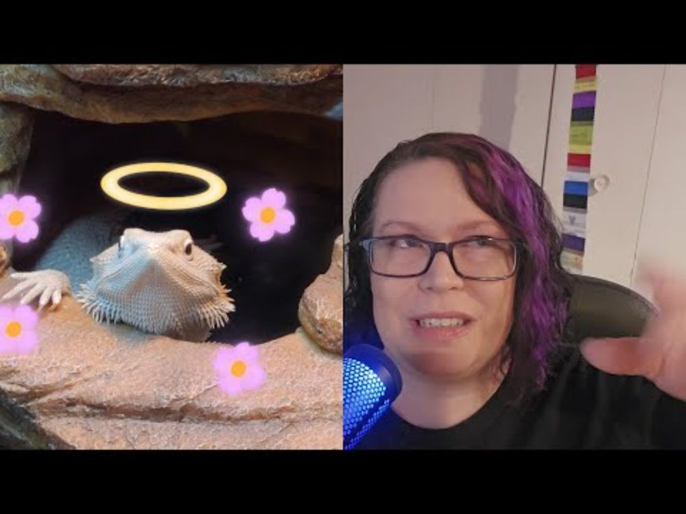 Reptile Facts! - Fun and cringeworthy