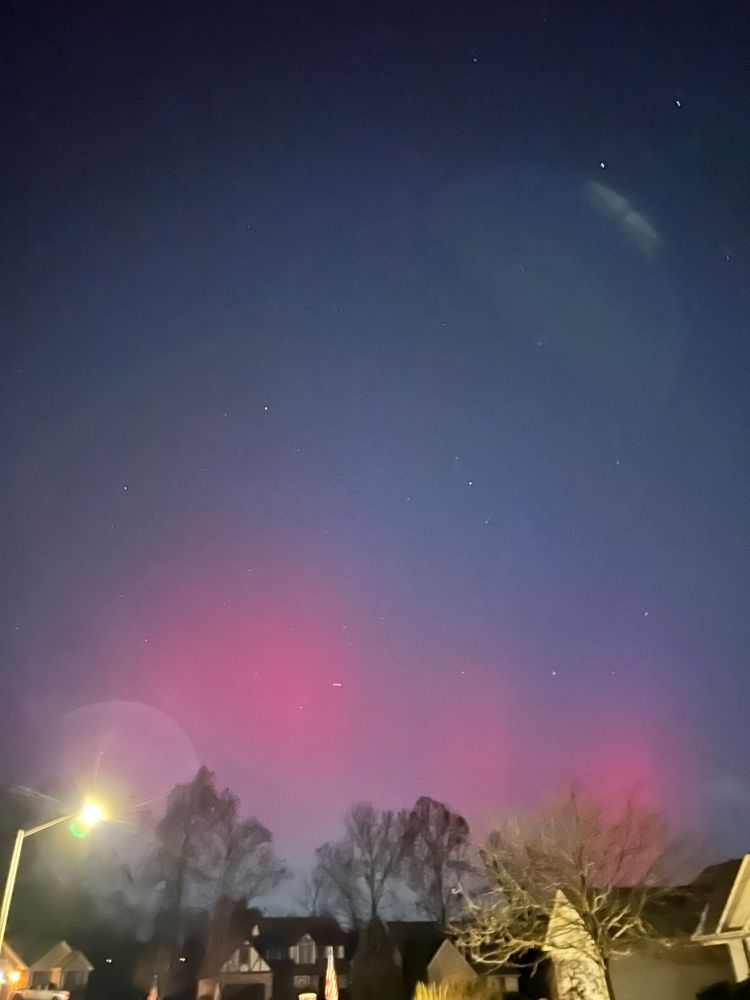 Pink aurora in the night sky with trees and houses and a streetlight in the foreground. 