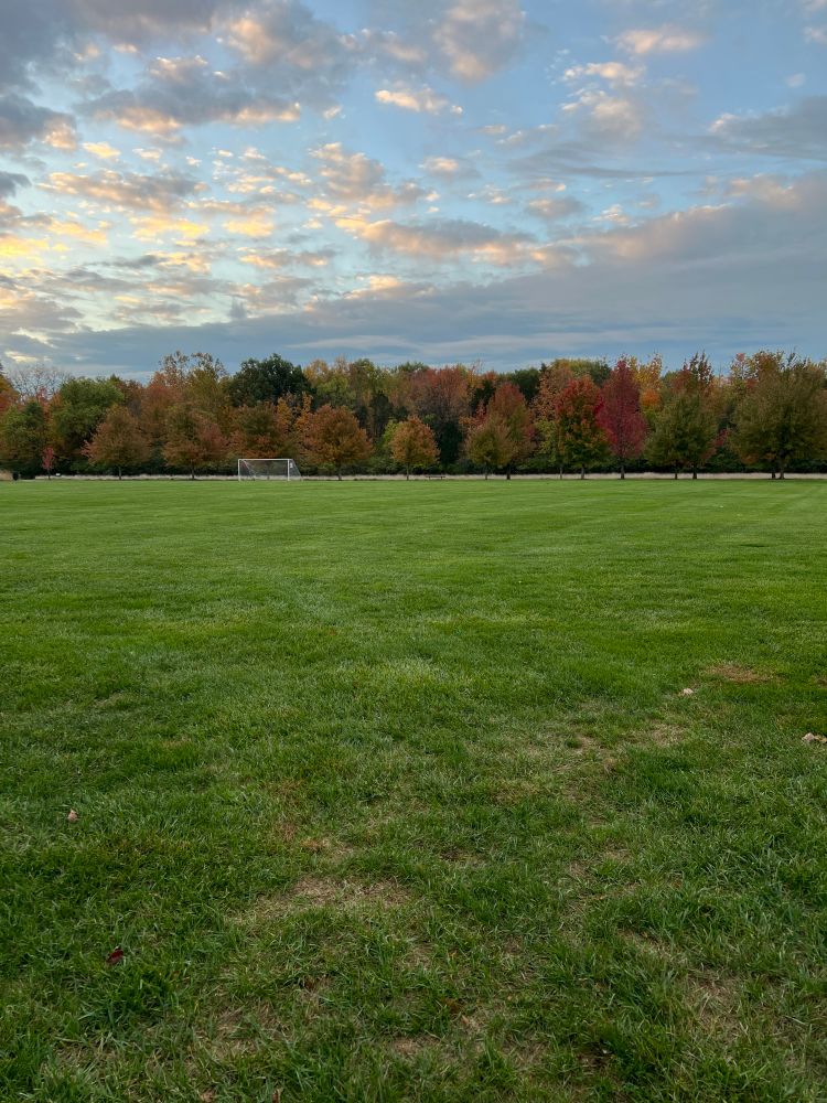 A grassy field with colorful autumn trees in the background. The sky has scattered clouds with some pink on the edges. 