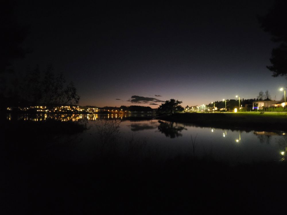 Looking onto a lake. It's almost completely dark and the shorelines  are lit up by lights. On the right side, the streetlights are illuminating te green grass so it almost looks neon. On the legt the lights from the houses gliw in more orange dots along the shoreline. Both shorelines "meet" in the middle of the picture, exactly where a tree stands as a black silhouette against the last pink and purple light in the sky. Everything is reflected in the water