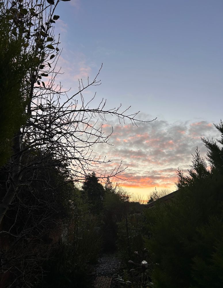 Today’s sunrise from my back garden. 