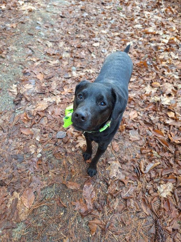 Such a good girl who got so disappointed today