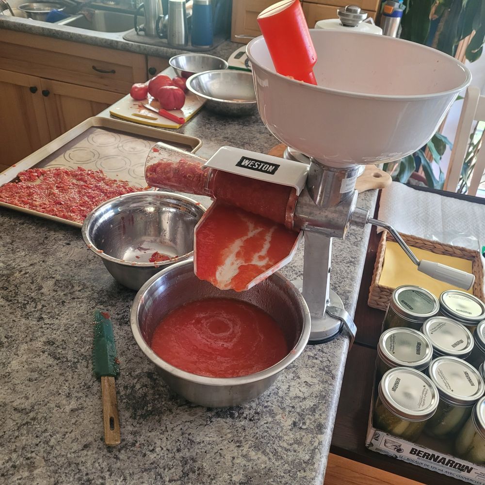 A hand crank tomato press processing my garden tomatoes. A baking sheet with a silicone liner has the skins and seeds spread out to dehydrate for tomato powder.