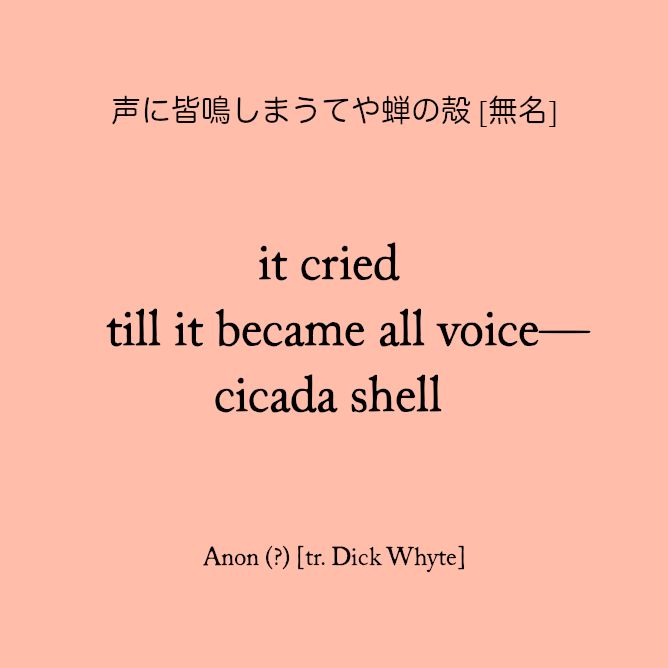 声に皆鳴しまうてや蝉の殻

it cried
till it became all voice—
cicada shell

[Anon] (tr. Dick Whyte)