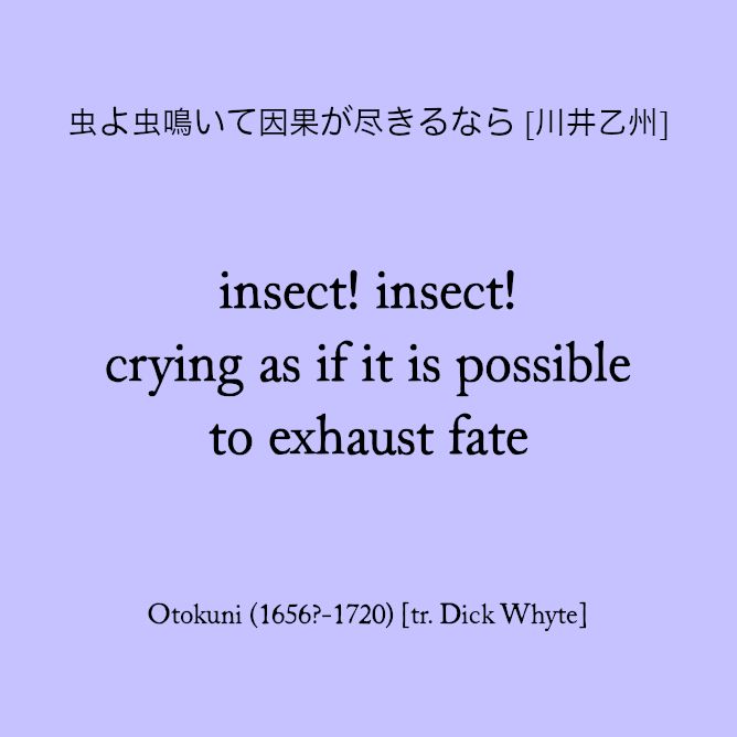 虫よ虫鳴いて因果が尽きるなら [川井乙州]

insect! insect!
crying as if it is possible
to exhaust fate

[Otokuni]