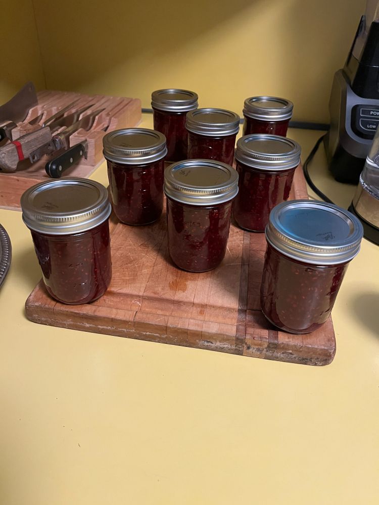 8 half-pint jars of freshly-made blackberry jam resting atop a cutting board. They set for 12-24 hours then, so long as the lid sealed properly, they get put away on a shelf for the next few months.