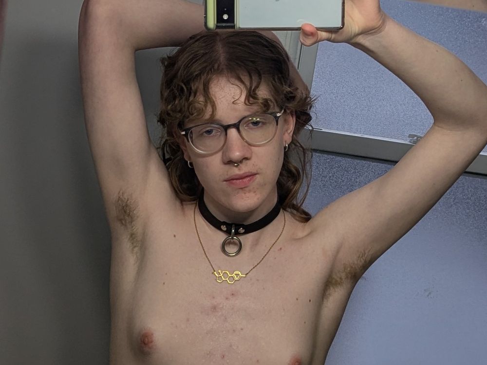 odd mirror selfie of gemini, where he holds the camera overhead with his arms up, showing off his fuzzy pits. he looks straight ahead, with a slightly lopsided expression that seems to convey *very* mild amusement with the mouth, but not with the eyes. he wears a small, black leather collar and his tits are partially visible just above the bottom edge of the frame.