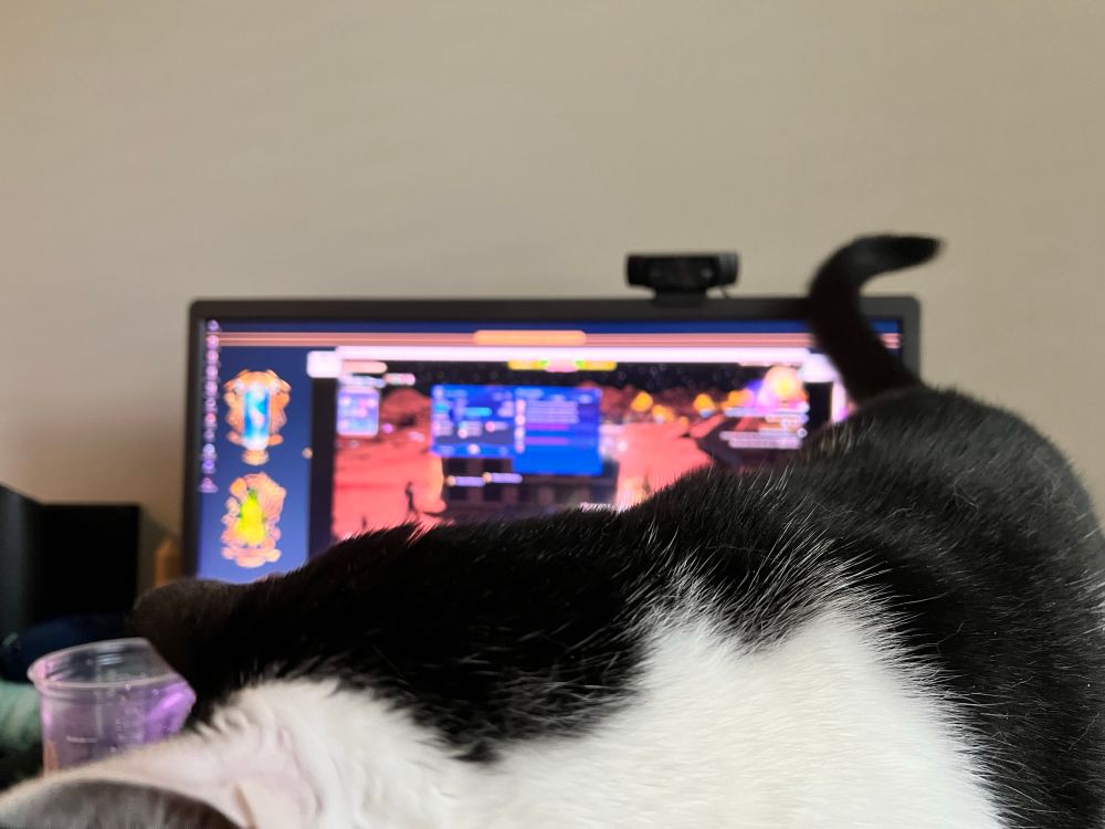 A photo of a black and white cat walking on a desk in front of a monitor showing a meteor shower Red Alert in FFXIV