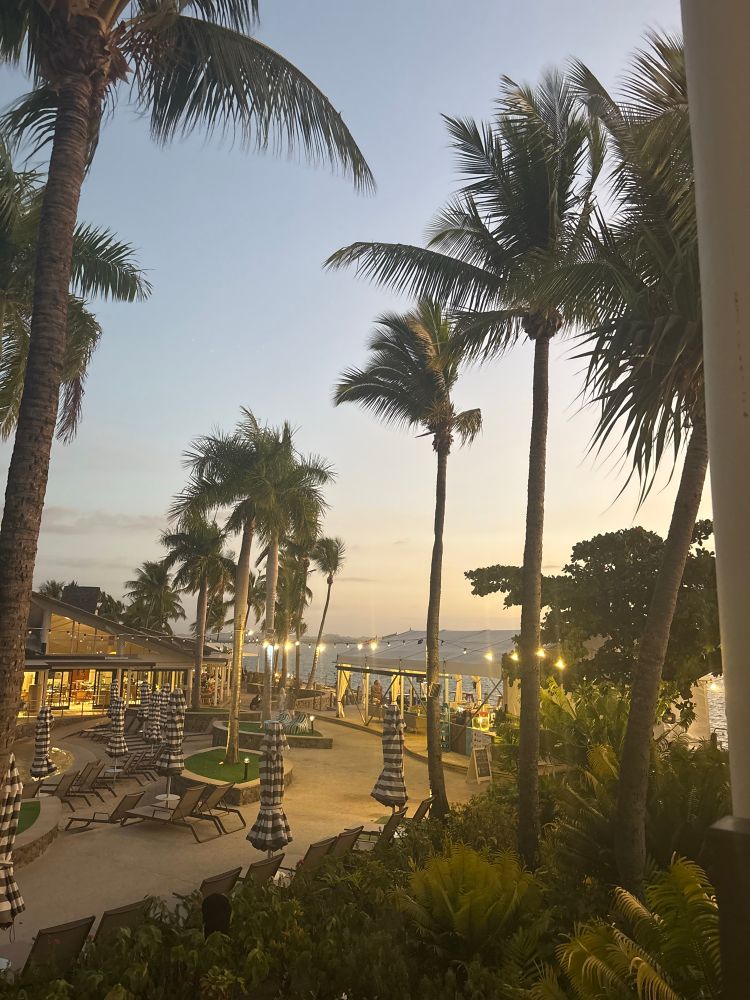 A beautiful resort with palm trees and lights over the pool, and a pergola thingy with a singer and musicians singing beautifully about homelessness and how we ignore poverty and my guilt is OFF THE CHARTS. Not pictured: how I could easily pay for another hotel night that I’m only going to use for like three hours. 