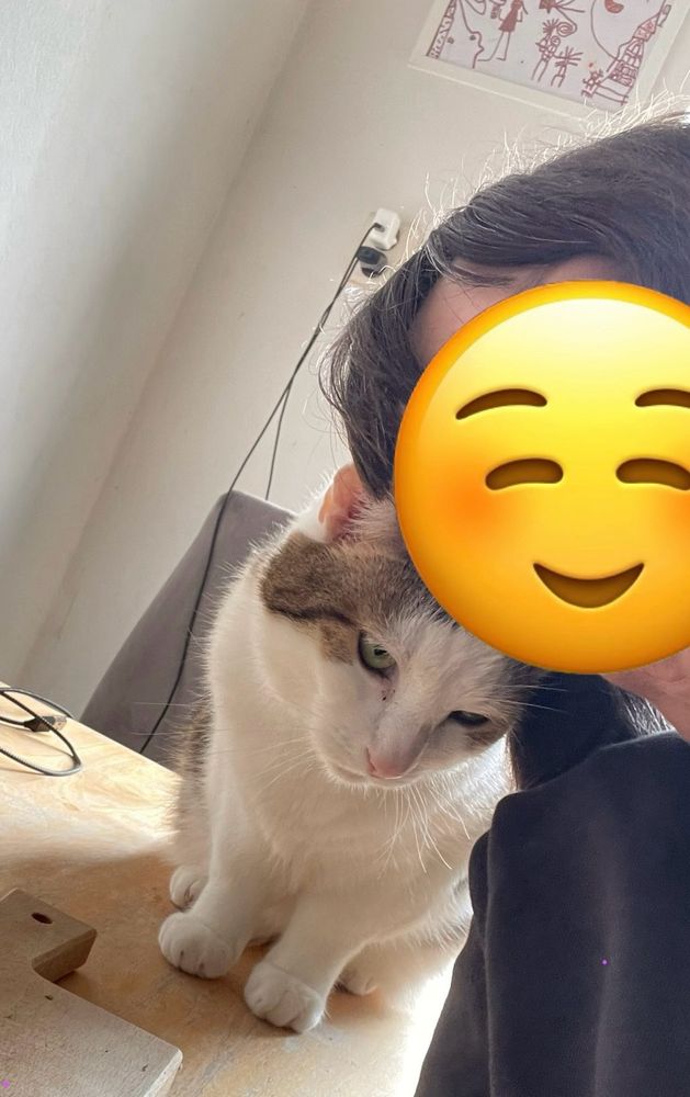 Selfie of me (face obscured by a smilie) and my white and tabby cat sitting on my kitchen table. Us rubbing our heads together.