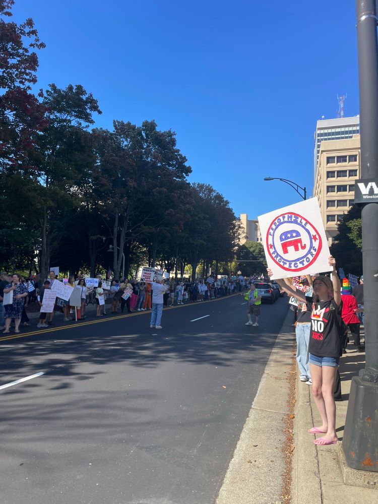 A woman amongst a crowd of people at a No Kings Rally in Winston-Salem holding a pedophile protectors sign with the Republican elephant emblem in the center. 