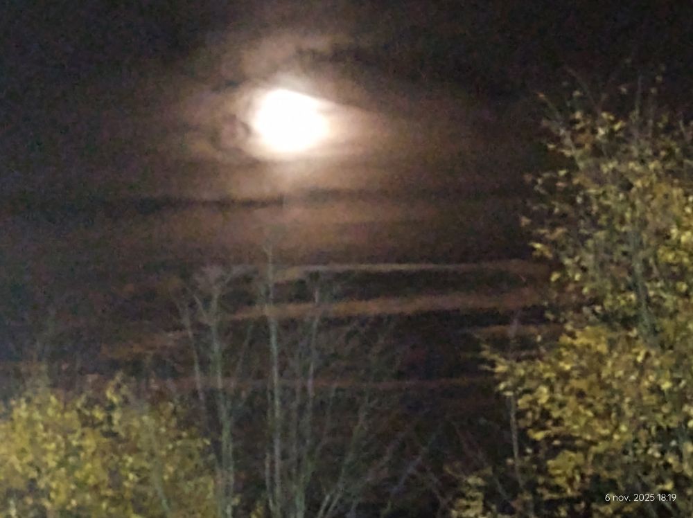 Sometimes nature draws the art
The full moon looking like an eye with an eyelid and eyebrow, looking to the left

Cloud layers lighten up underneath 
Some treetops through which it shones