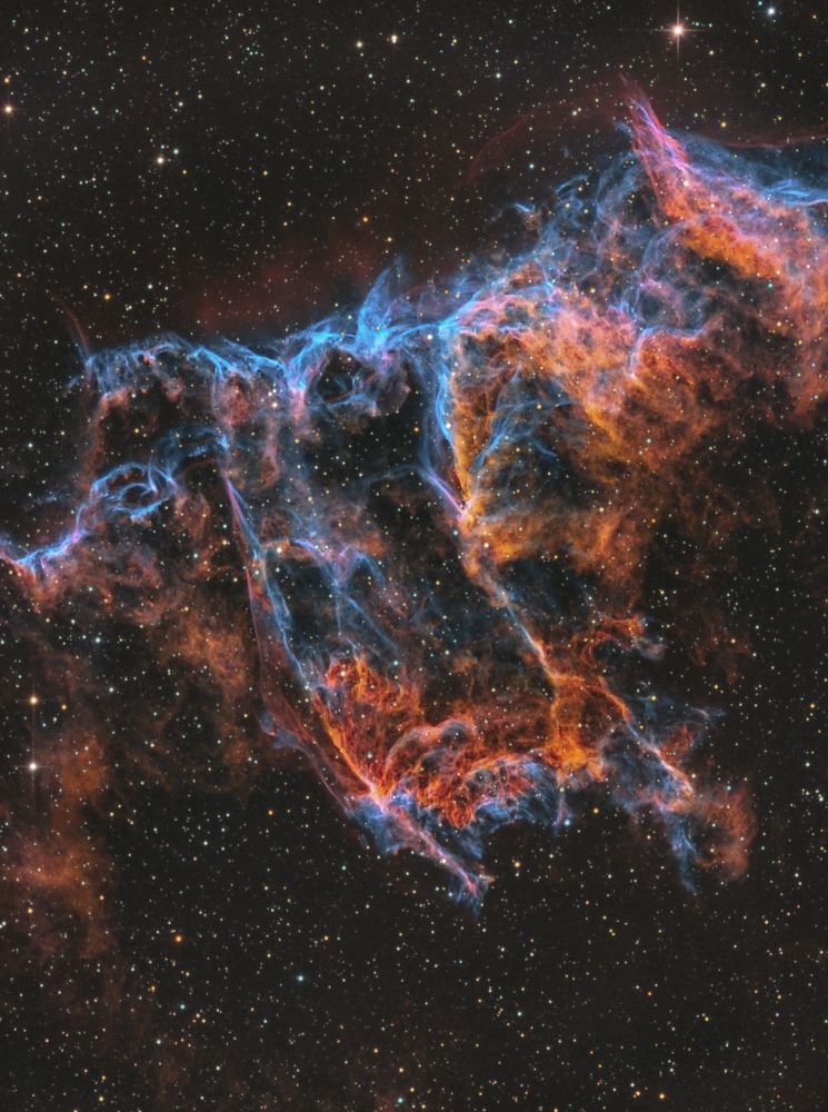 "The Bat Nebula, a striking section of the Veil Nebula (NGC 6995), reveals a cosmic tapestry of gas and dust filaments. These vibrant tendrils—glowing in shades of red and blue—are remnants of a massive star's explosion thousands of years ago. Draped across the night sky in the constellation Cygnus, the Bat Nebula’s intricate structures whisper of ancient stellar death and rebirth." #space #astrophotography 