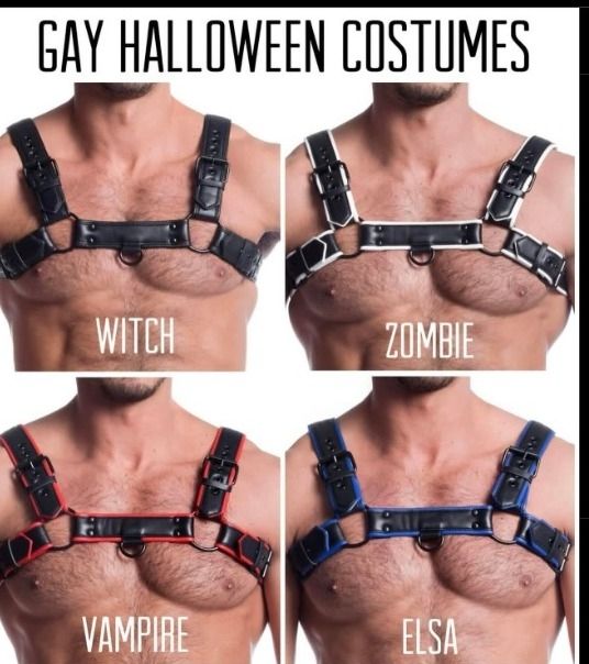 Meme gay com varios peitos idênticos com harness e varios nomes de fantasias