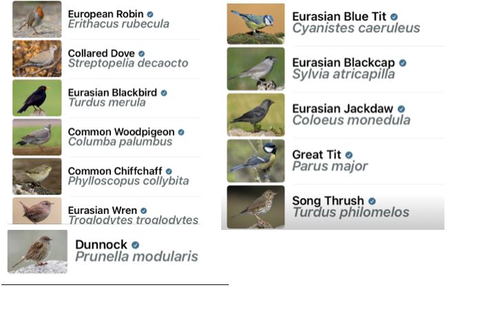 Eurasian Robin
Collared Dove
Eurasian Blackbird
Common Woodpigeon
Common Chiffchaff
Eurasian Wren
Dunnock
Eurasian BlueTit
Eurasian Blackcap
Eurasian Jackdaw
Great Tit
Song Thrush 