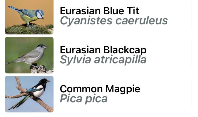 Blue Tit
Blackcap
Magpie