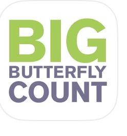 App Logo for Butterfly Conservation Big Butterfly Count 