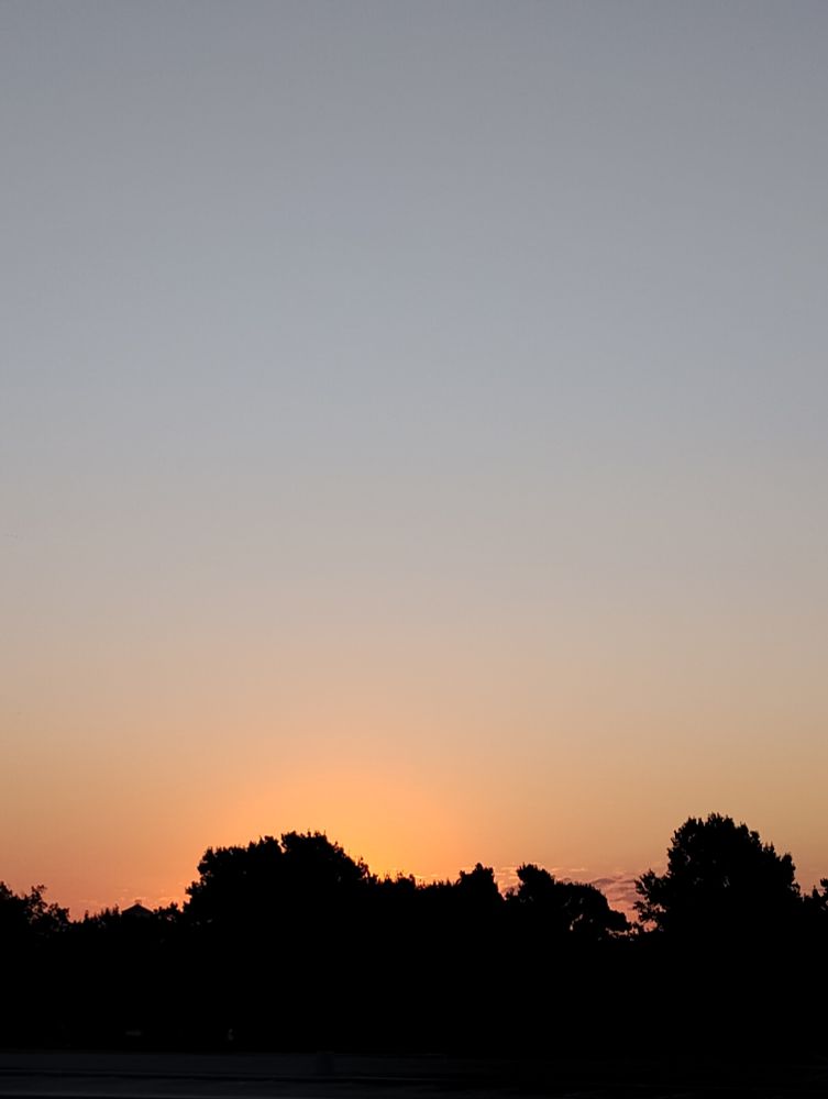 Sunrise sky behind trees.
