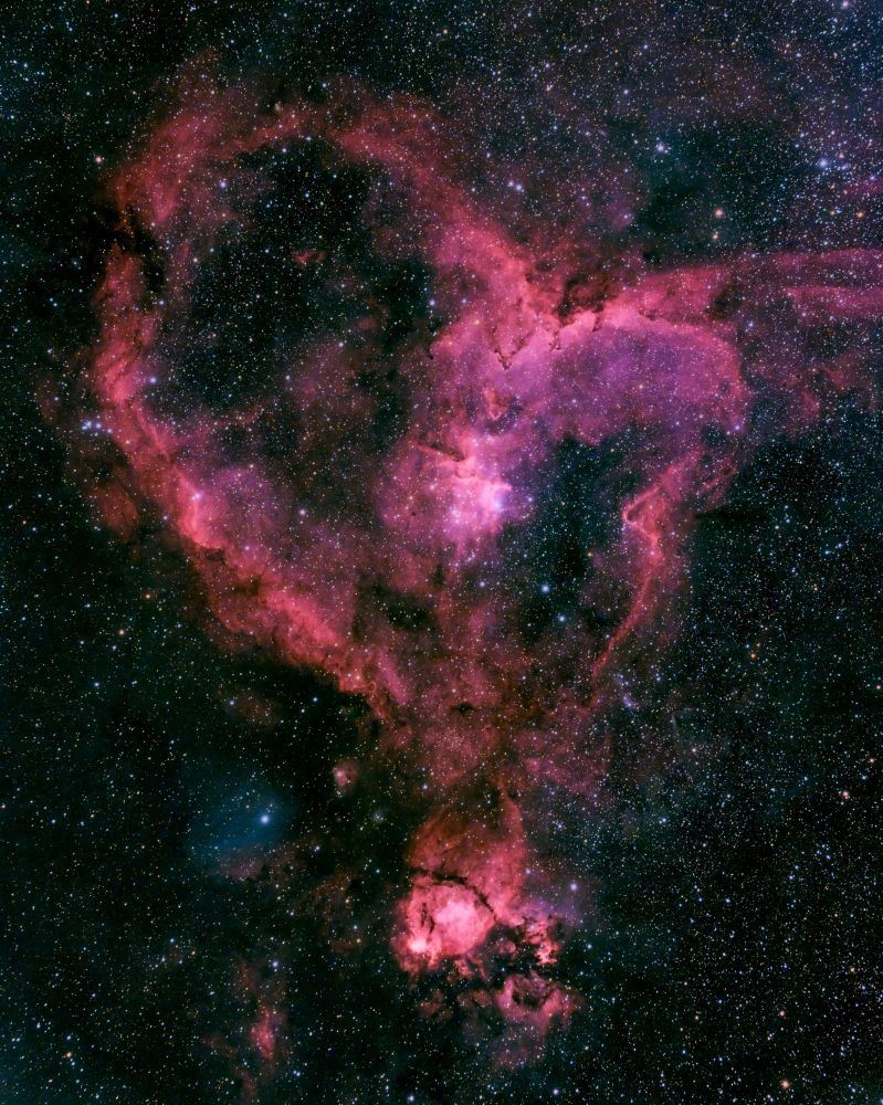 a reddish-pink emission nebula resembles a misshapen heart. At the bottom is an appendage that looks like a fish head. Both in a dense field of stars. Takahashi TSA 120 with 0.7x reducer and modified Sony Alpha 7 III camera. Best 169 out of 180, 90 second exposures processed with Astro Pixel Processor, Starnet++, and Photoshop.