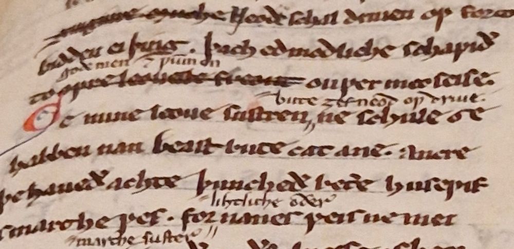 Extract from Ancrene Wisse on display at the British Library exhibition : "ne schule ye habben nan beast bute cat ane"